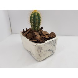 Succulent Planter Handmade Plant Pot Planter Flower Pot Cactus Planter