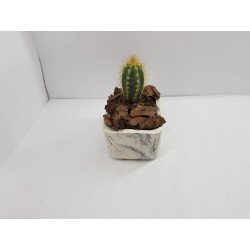 Succulent Planter Handmade Plant Pot Planter Flower Pot Cactus Planter