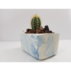 Desk Decoration Concrete Planter Concrete Plant Pot Pot for Plant Desk Planter