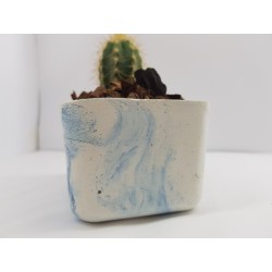 Desk Decoration Concrete Planter Concrete Plant Pot Pot for Plant Desk Planter