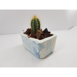 Desk Decoration Concrete Planter Concrete Plant Pot Pot for Plant Desk Planter