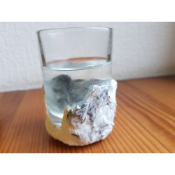 Shot glass Shot glass for vodka Shot glass for tequila Rum shot glass Handmade Concrete Concrete and glass