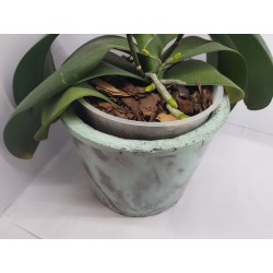 Flower Pot Cache-pot Planter Plant pot Flower plant pot Flower cache-pot