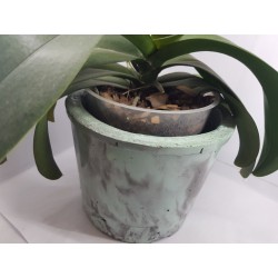 Flower Pot Cache-pot Planter Plant pot Flower plant pot Flower cache-pot