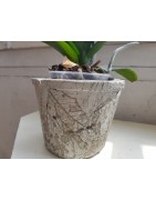 Exclusive and unique handmade flower pots